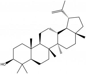 एन1291