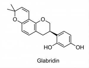 glabridín-40-60-500x500