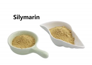 ps33330455-silymarin_exttract_from_milk_thistle_seeds_with_hplc_50_60_silymarin