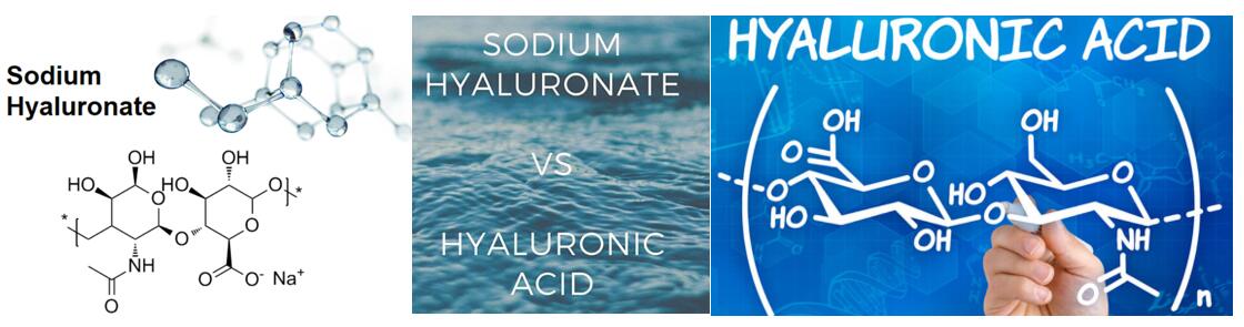 sodium hyaluronate vs hyaluronic acid